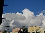 Borovina