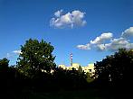 Borovina