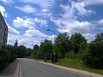 Borovina