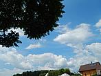Zajíčkov
