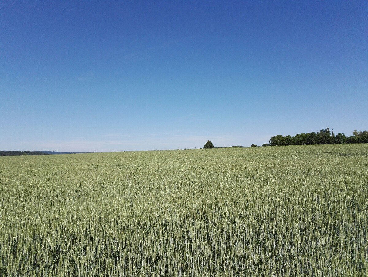 Lanškroun