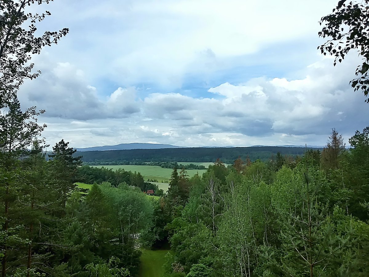 Vidov