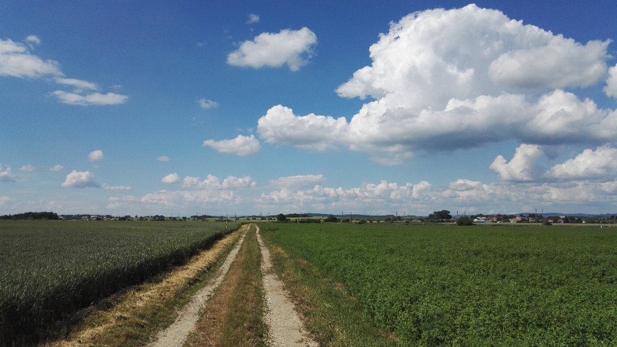 Císařov