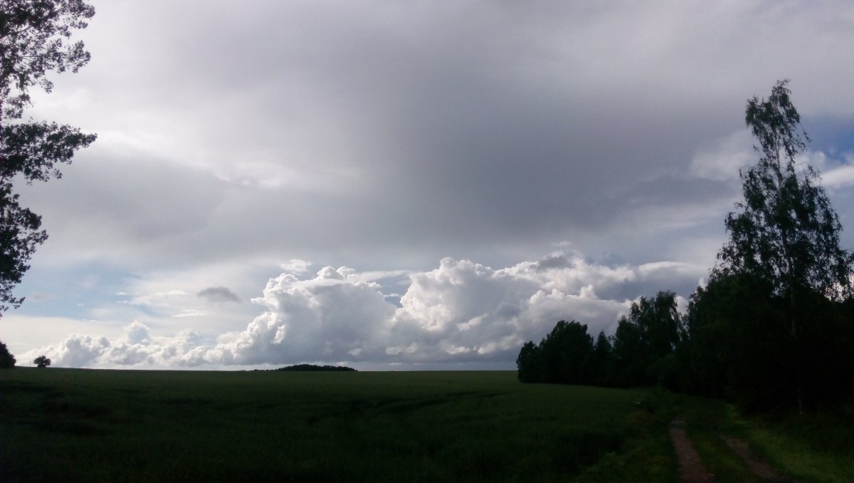 Krchleby