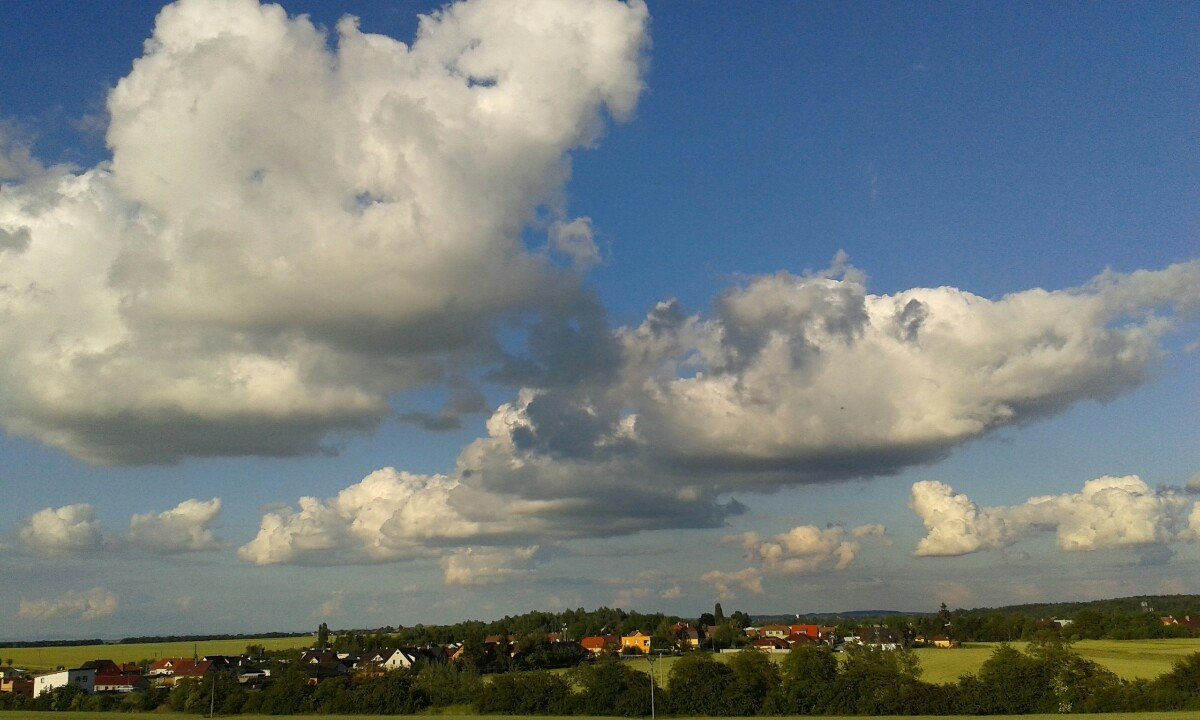 Vinařice
