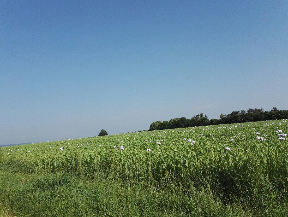 Lanškroun