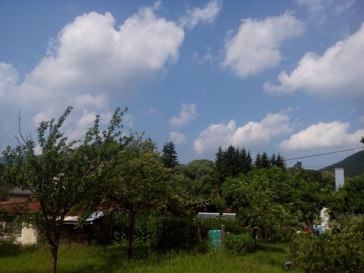 vrbno  pod  pradědem