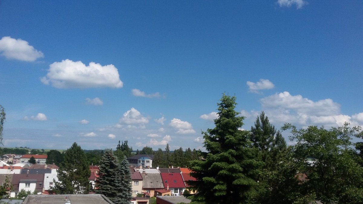 Polička