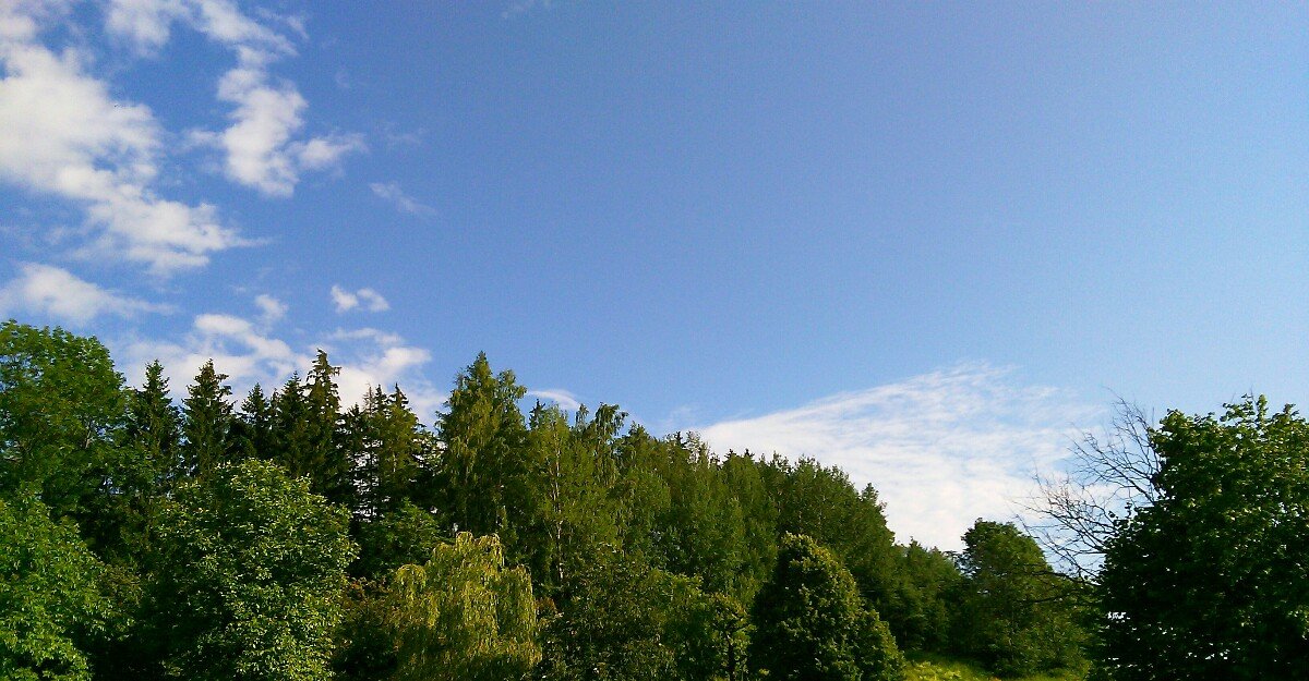 Dolní Branná