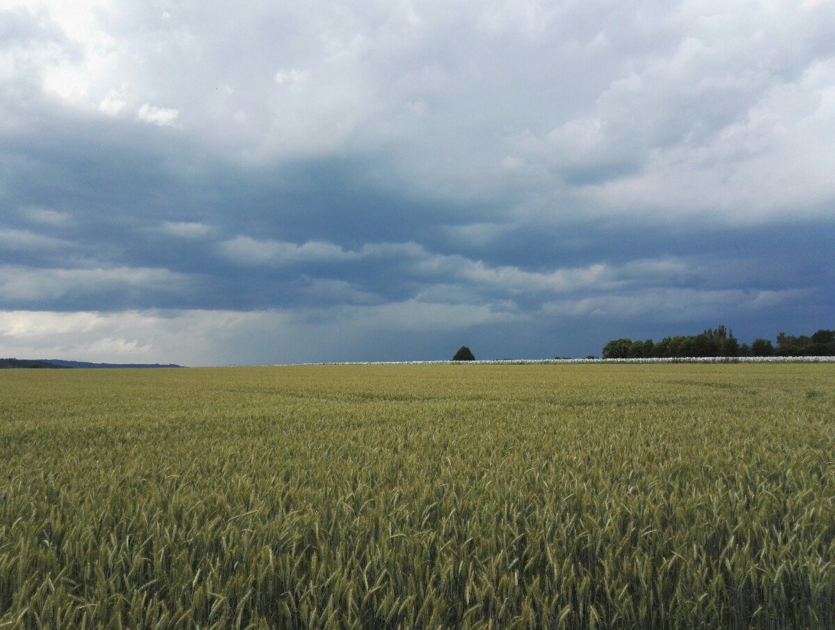 Lanškroun