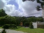 Borovina