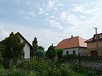 Třibřichy