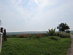 Třibřichy