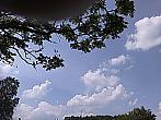 Zajíčkov