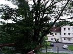 Borovina