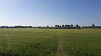 Věrovany