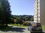 Borovina