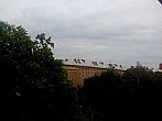 Ostarva