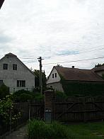 Třibřichy