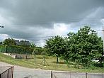 Třibřichy