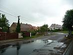 Třibřichy