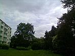 Borovina