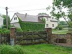 Třibřichy