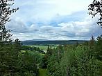 Vidov