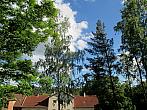 Borovina