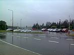 Borovina