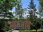 Borovina