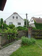 Třibřichy