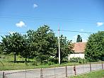 Třibřichy