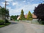 Třibřichy