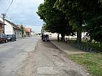 Třibřichy