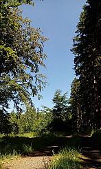 Mikulášovice