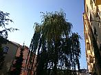 Opava