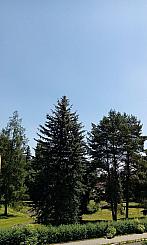 Varnsdorf