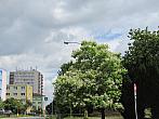 Neratovice