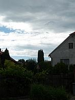Třibřichy