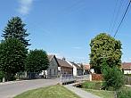 Třibřichy