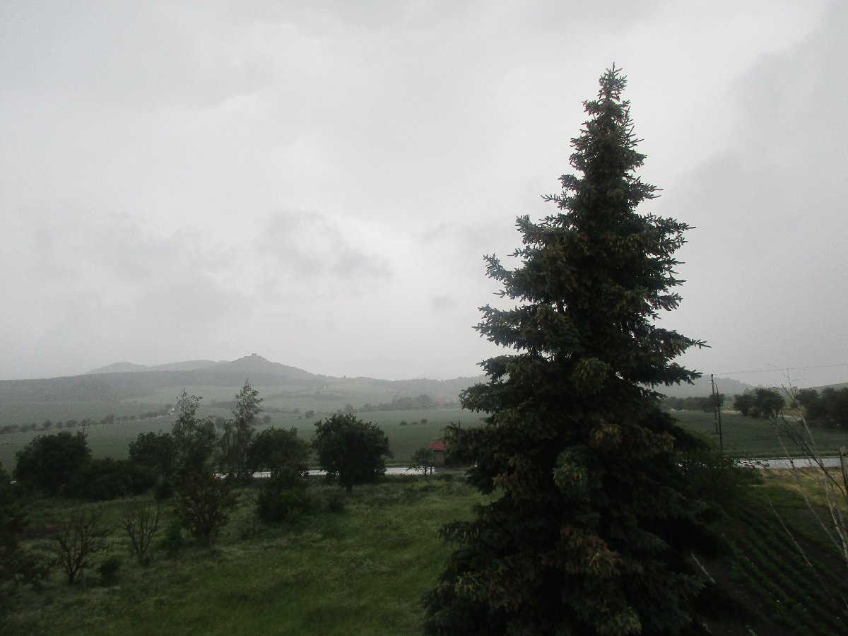 Podsedice