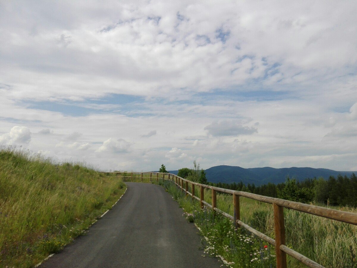 Vrskmaň