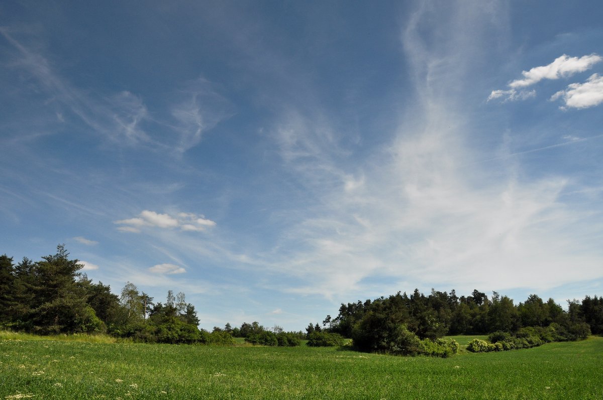Nový Telečkov