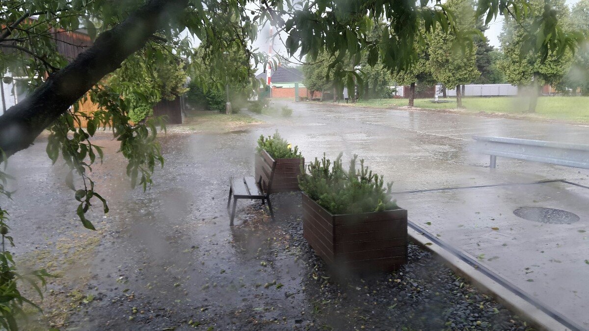 Věrovany