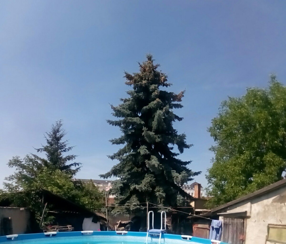 Strážnice