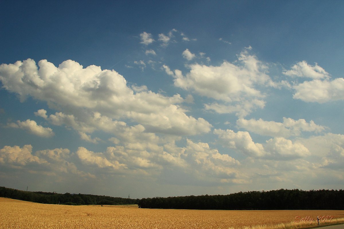 Pohořelice