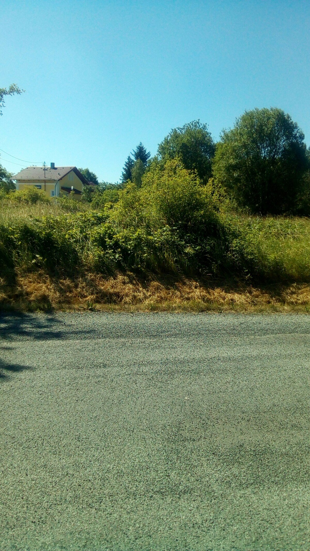 Hostouň