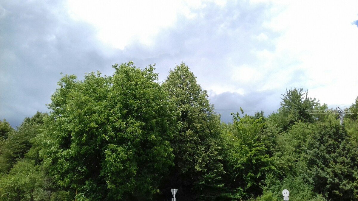 Jasenná