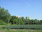 Neratovice